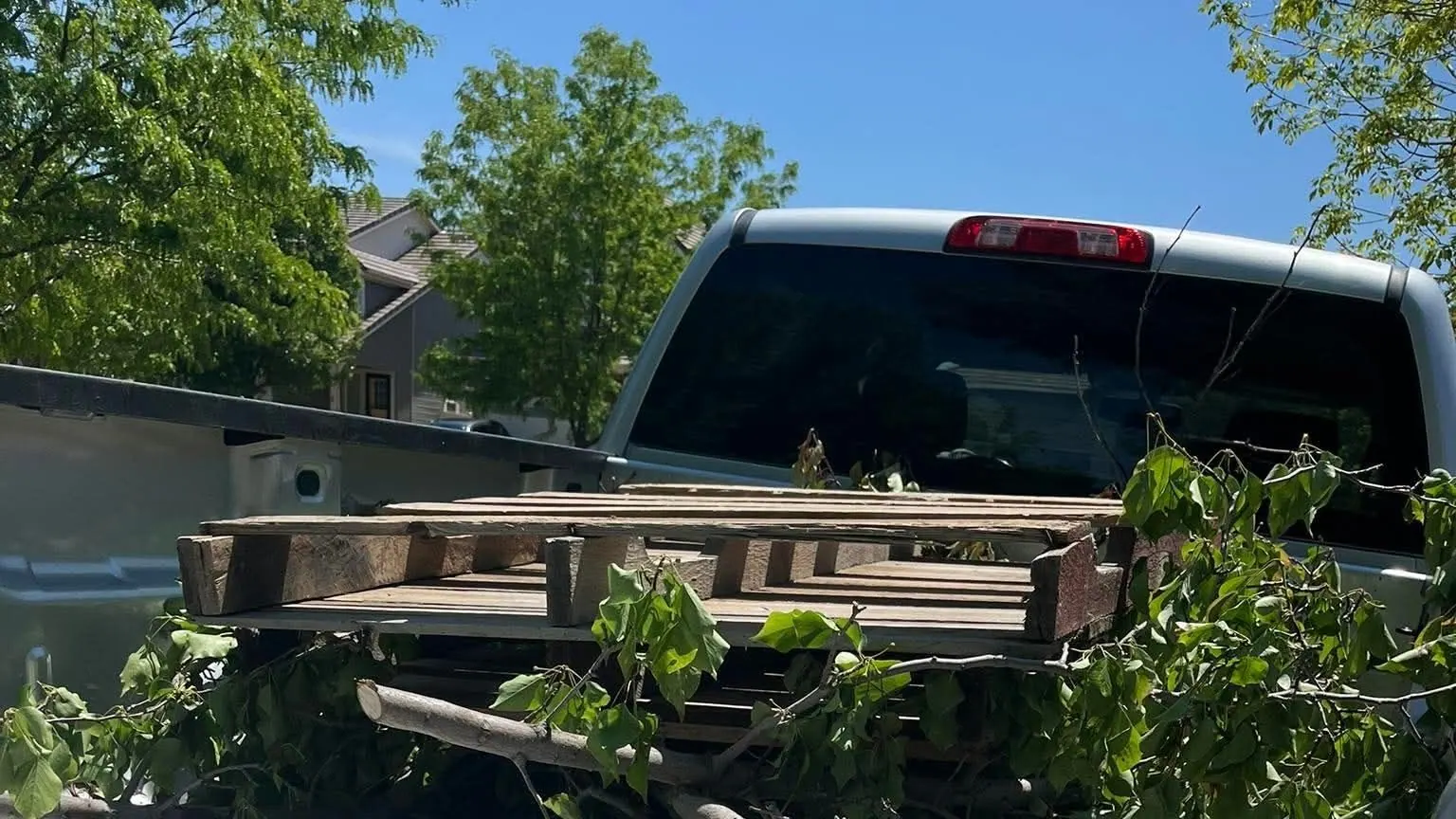 Cut tree branches and a pallet in the bed of a silver pickup, seen over the tailgate