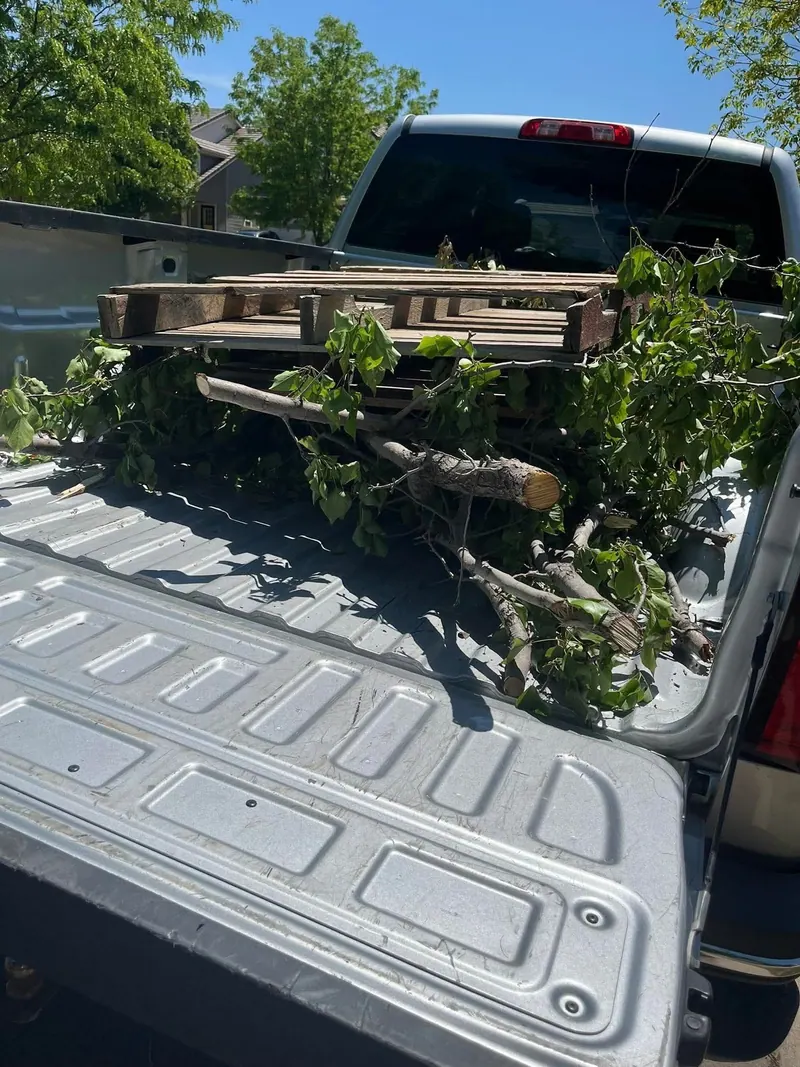 Cut tree branches and a pallet in the bed of a silver pickup, seen over the tailgate